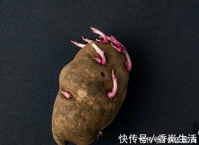 蒸土豆|土豆芽能吃吗小贴士教你如何防止他发芽，你可以放心地储存土豆