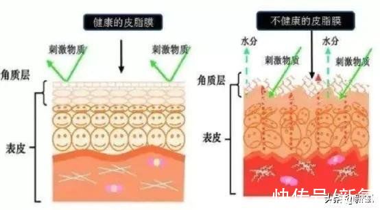 间隔期|为什么她会从整形模板翻车成馒化代表？