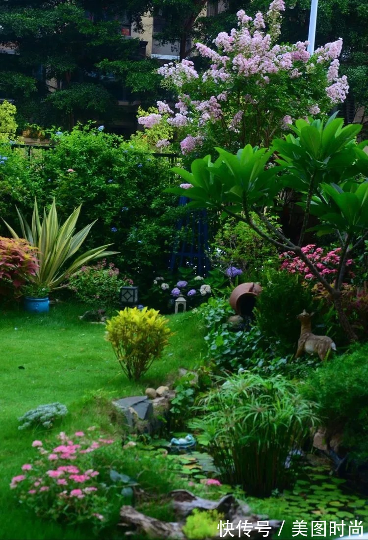 三角梅|120㎡别墅花园改造,经过三年的努力,小院从荒地到花开满园