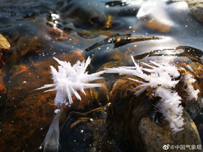 辽宁抚顺|辽宁抚顺河中爆出“雪莲“