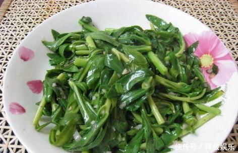 救心菜|农村一种野菜,又被称“救心菜”,“金不换”,价值珍贵快要绝迹