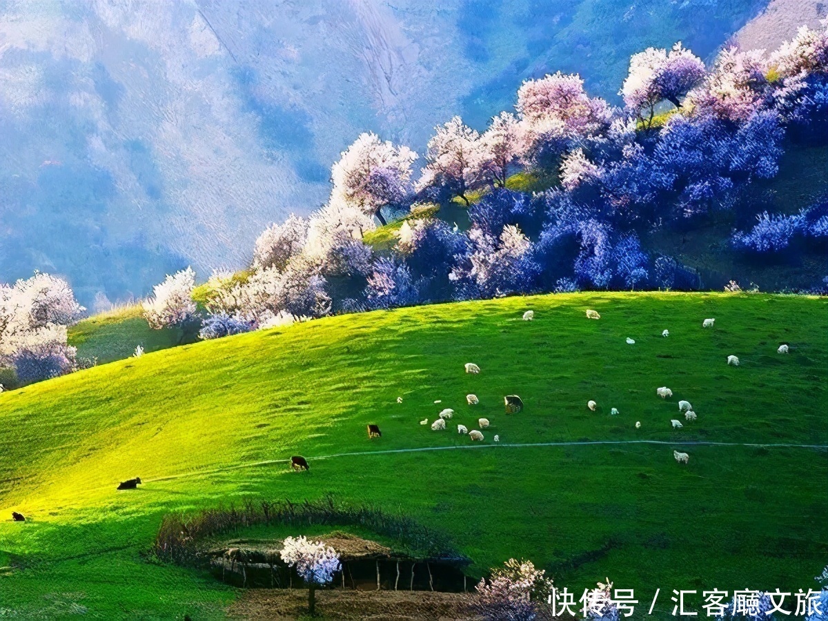 翻雪山穿沙漠，流连异域小镇，寻访新疆烂漫“花火”