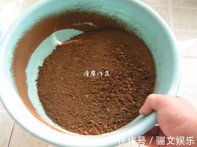 土土质|竹林下的1种土,是养花“极品土”,掺在盆里,啥花都能长得旺!