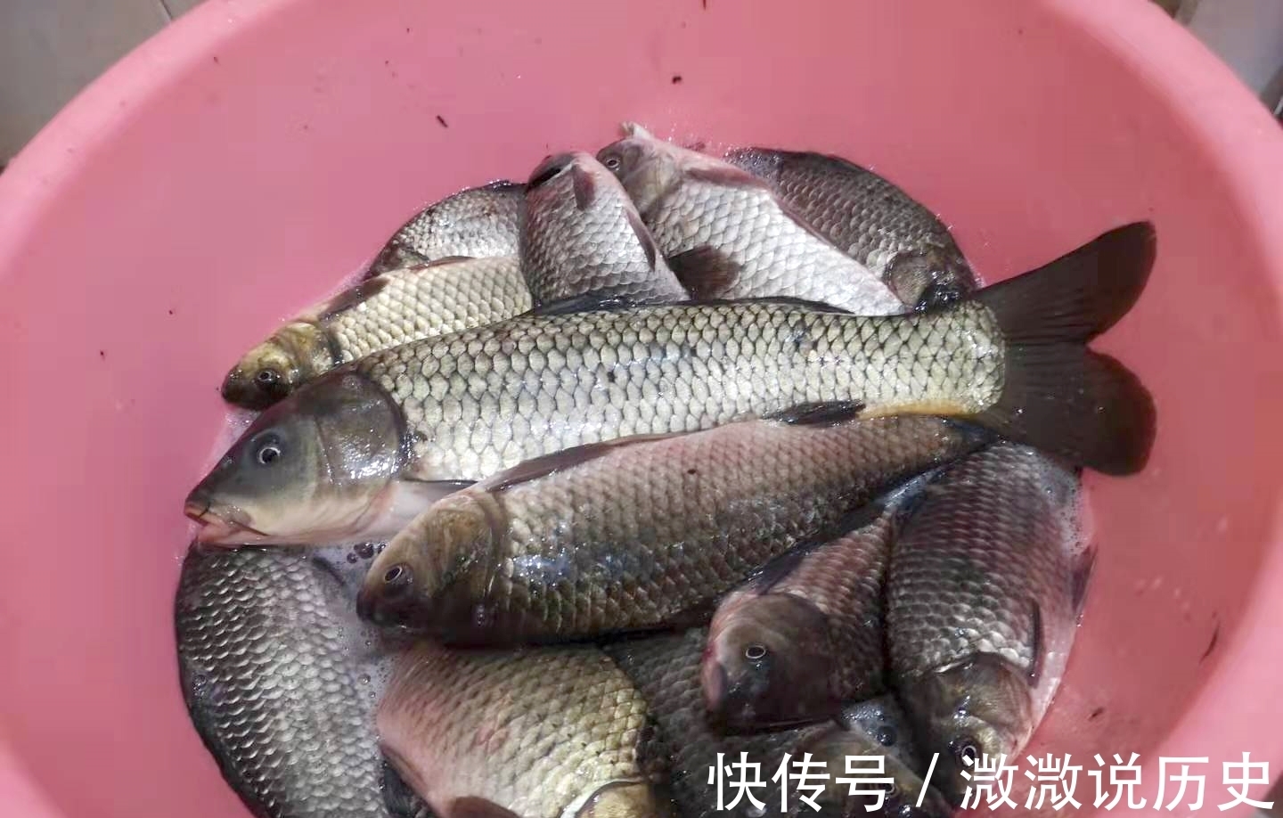 浅谈冬天大温差天气垂钓，留意规律，好鱼获不难