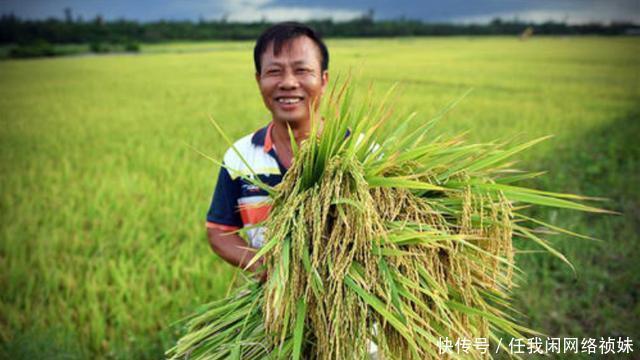  丰收|俗语“冬雪一层面，春雨满囤粮”，老农说能测来年收成，靠谱吗