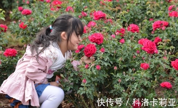 种花|“鲜花屋中放，花旺人不旺”，为何有这种说法？屋子里不能种花？