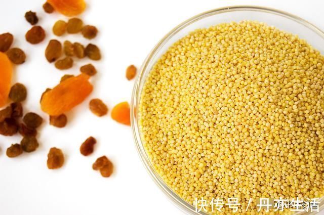 钓鱼时常用的酒米窝料,其实是可以这样生产的,制作方法简单易学