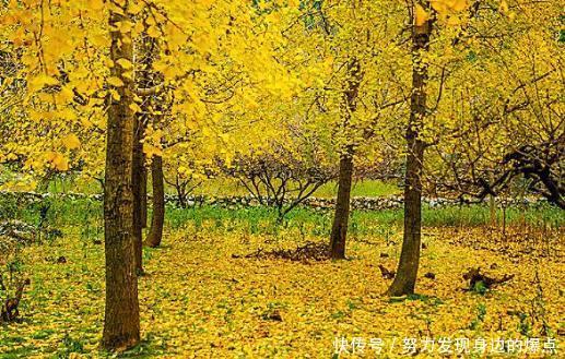 浙江卫视一档真人秀节目,首站定为浙江金华,本周日就出发