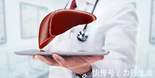 蒲公英|蒲公英加它,堪称肝细胞“修复器”,养肝排毒,肝硬化或知难而退