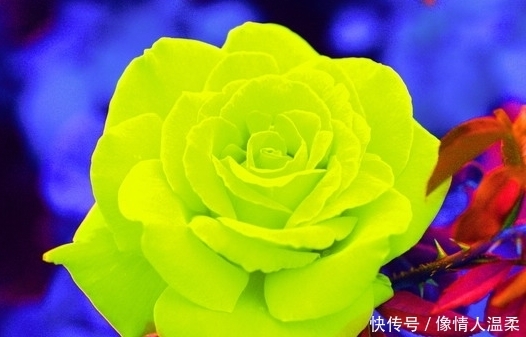 财官|再过3天走大运享富贵的生肖，钱财翻倍涨，前途光明，财官两旺