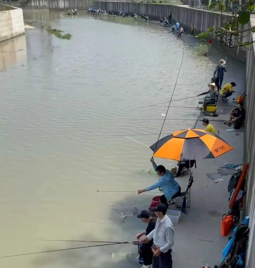上海与众不同的“黑坑”，钓鱼不要交费，每天都有成百上千人聚集