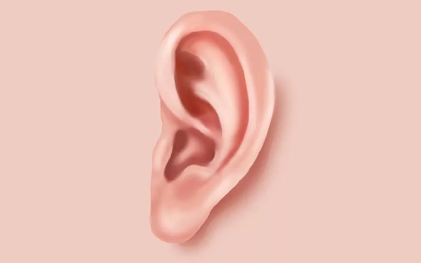 气血|中医说耳朵上有一个健康“开关”,勤加按摩即可启动健康