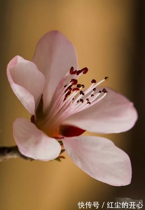 |年度挤进前十名的微信段子,笑死了,一起来看看吧