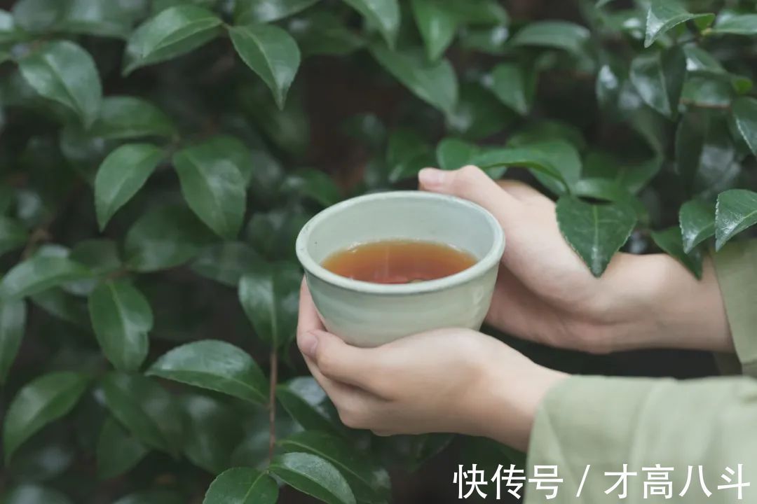 李清照$12首唯美宋词,最后一句是神来之笔,惊艳千年!