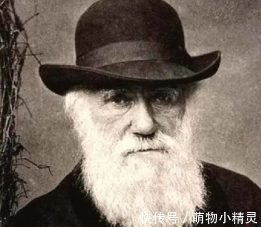 布莱恩!诚者,天之道也。诚之者,人之道也!