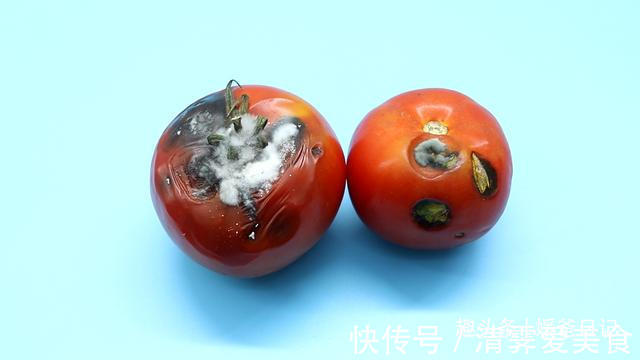 塑料瓶|西红柿烂了别丢，越烂就越好，以前丢浪费了