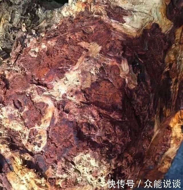 重金买下烂疙瘩，众人觉得不值，一刀下去，众人惊呆了！