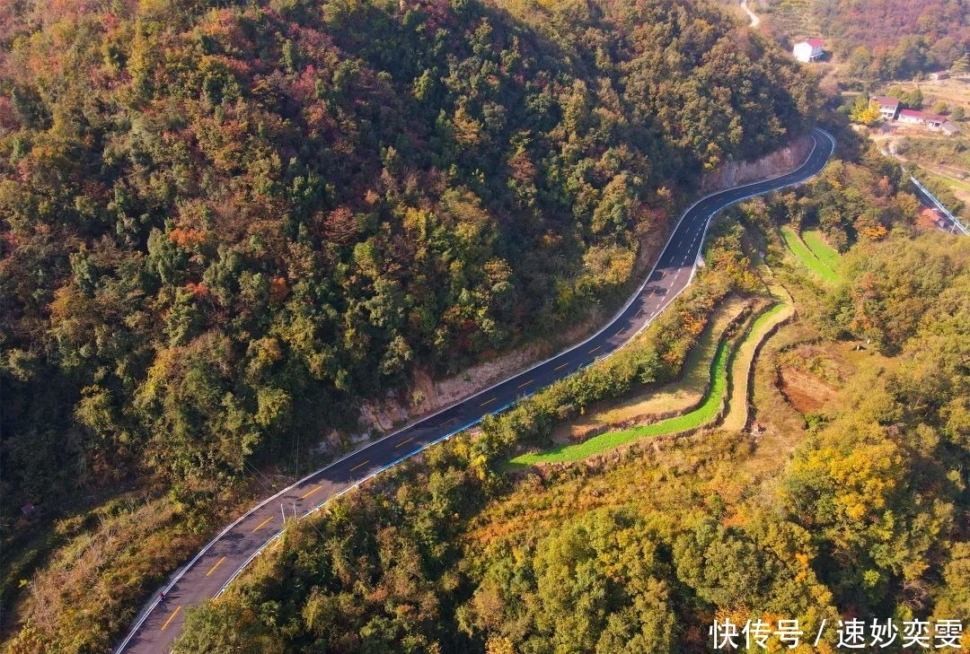 公路|这条藏在远安的旅游公路，惊艳了秋天，美成了童话