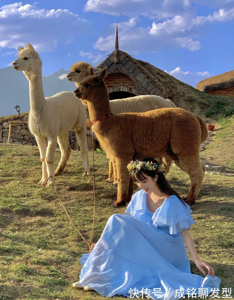 衣领|精致大方的连衣裙,休闲百搭又耐看,轻松穿出优雅浪漫的气息