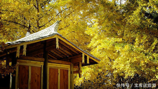 相接|腾冲Tengchong最热情的土地