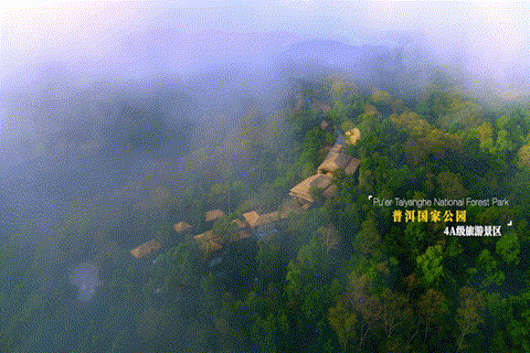 普洱市 普洱:“象”见恨晚的地方