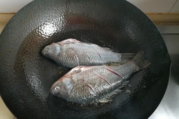 被“误解”最深的鱼,它的全身是宝,比甲鱼营养,一斤5元没人买