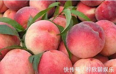 补充营养|想长寿全靠吃,3种食物离不开,补充营养、淡化皱纹!