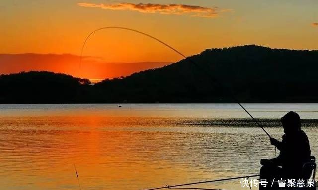  他野钓钓到六斤鲫鱼王，一看竟是“太监鲫鱼”这究竟是谁的功劳