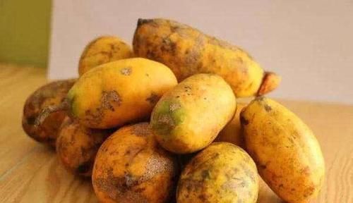 一日三餐|女性养生要会吃，坚持多吃的食物，排出湿气，远离妇科炎症