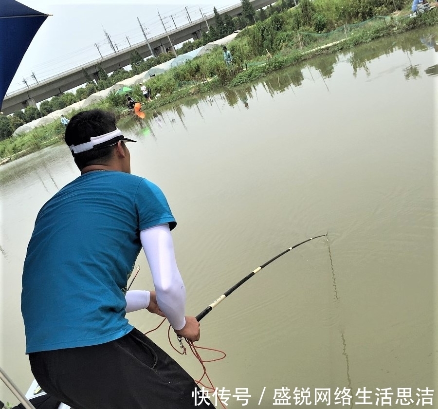 谨记|夏天野钓谨记这几点,新手变高手,原来钓鱼也有套路