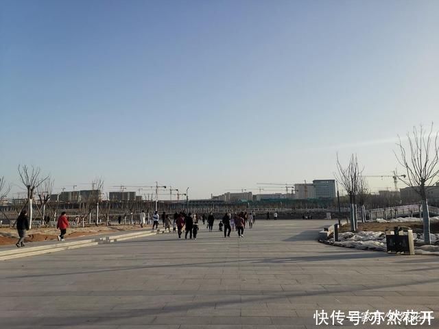 悬念|文章贵曲不贵直