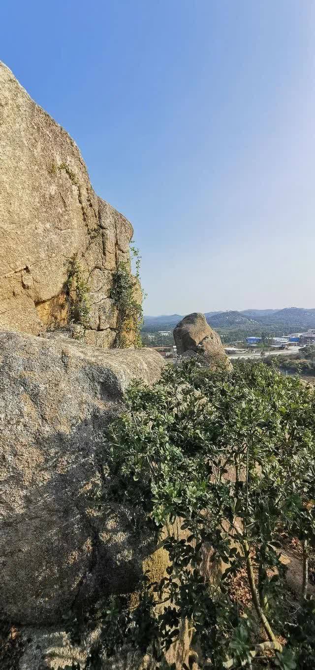 春日再游香山（作者：漳浦 宽心）