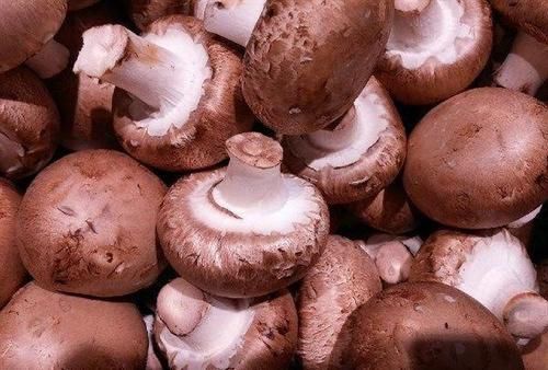 毒素|人到中年想长寿,推荐多吃的食物,排毒抗衰,清除毒素