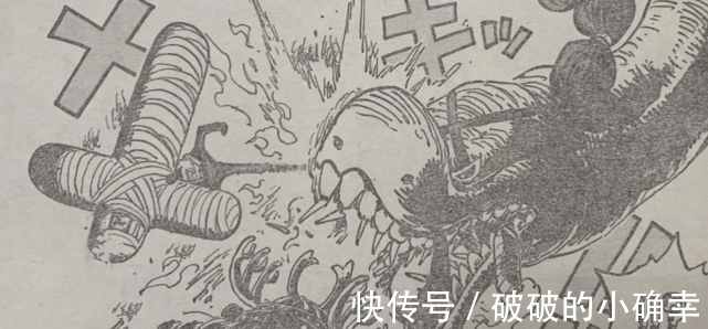 凯多|海贼王1015话：山治使用索隆，锦卫门牺牲