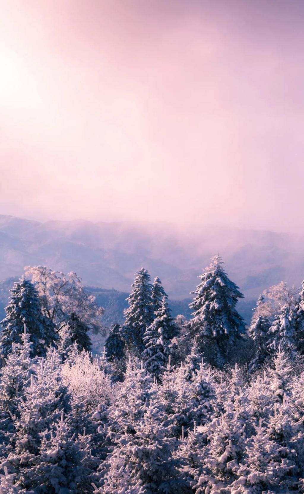 巴丹吉林沙漠|11月，往北看雪，往南赏秋。