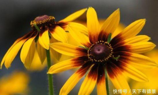 农历5月12日