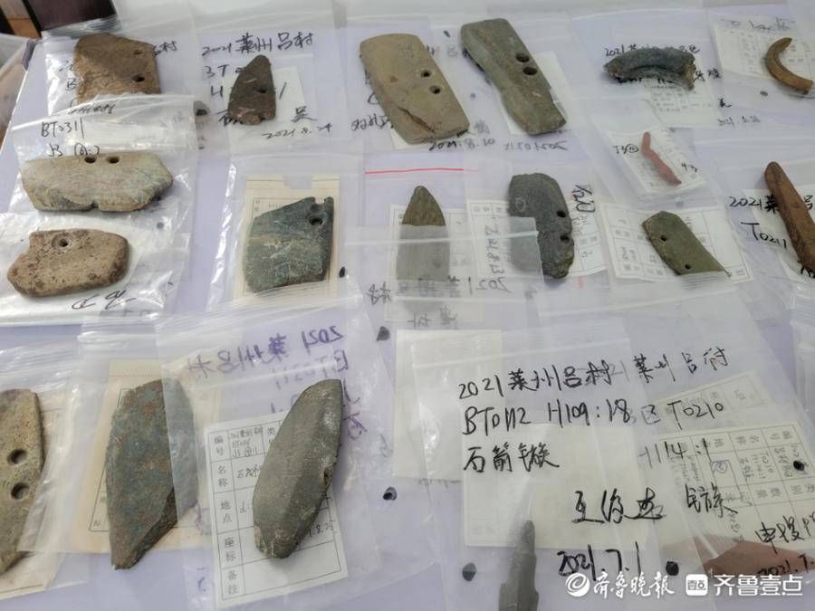 骨器&高铁下的考古⑥：发现4000年前鲸鱼骨，还有 “鹿角靴形器”