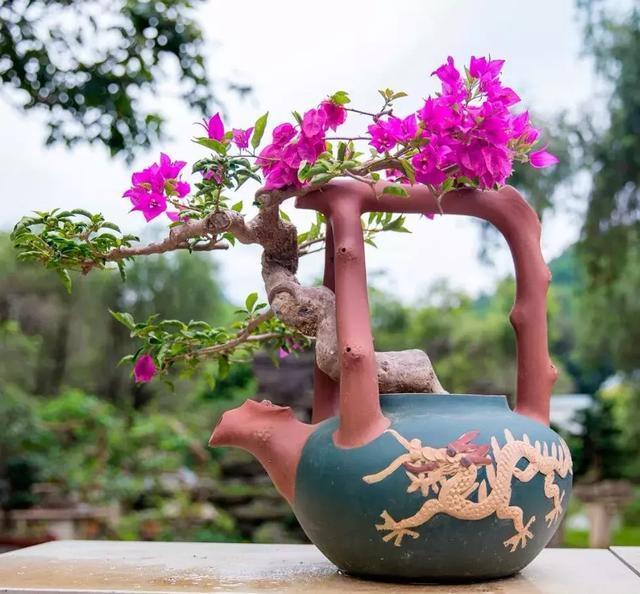 旧茶壶种点花，秒变高端盆景，卖300一个邻居抢着要