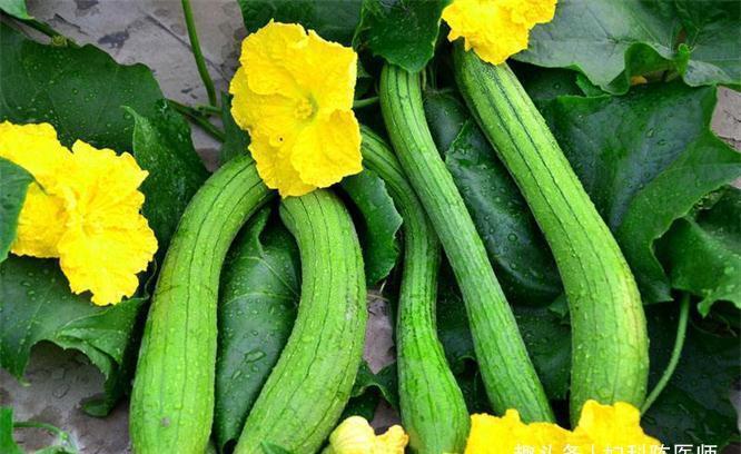 聰明的女人，多吃以下食物，排毒養顏，皮膚更有彈力光澤，試試看