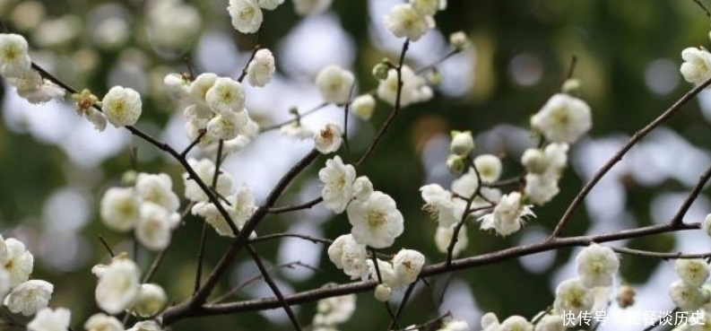 忧愁#李煜水平很高的一首词,通篇都在描写忧愁,可是却没有一个愁字!