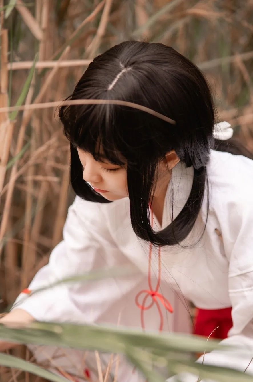 犬夜叉|cos:夏日动漫祭犬夜叉桔梗cos正片@宮本桜