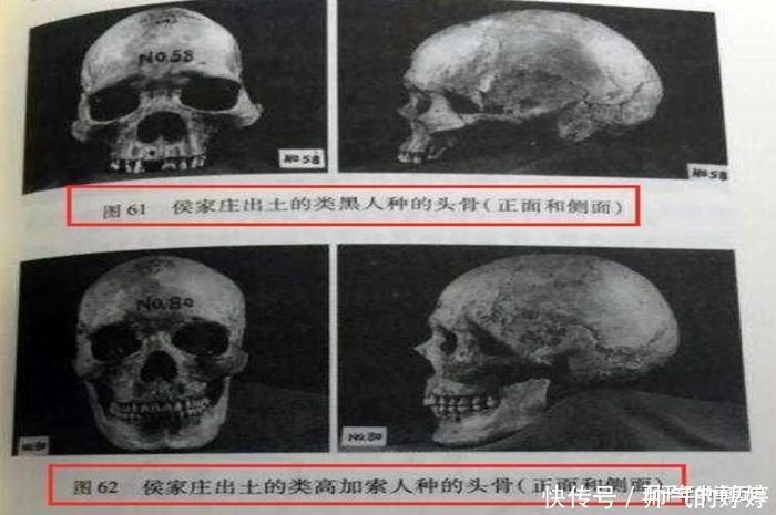 殷墟遗址出土白种人头骨,甲骨文揭开谜底,他们入侵商朝时被俘虏