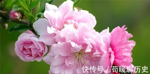 汉武帝!李商隐碧桃二首,遇见一个人,牵起前生今世