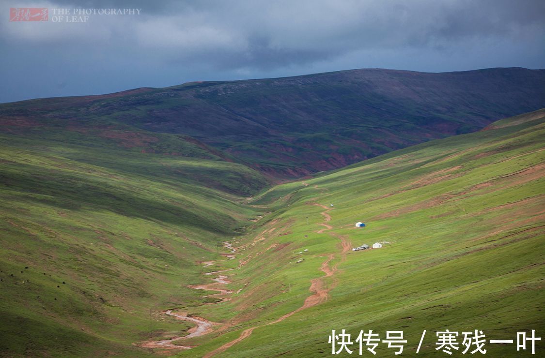 高原|这是藏族人招待贵宾的顶级美食,看着有些特别,但很多人不敢吃