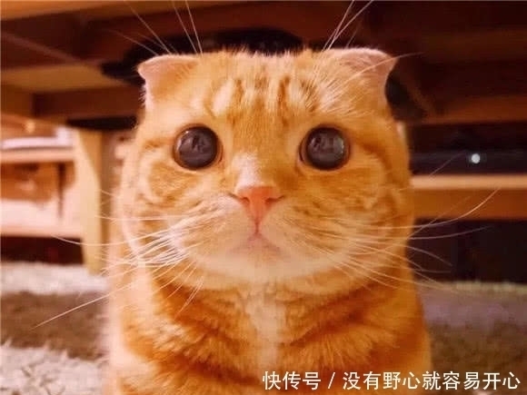 情侣|最近火了一组“不像情侣”情头,看到最后一组,甜到要得糖尿病!