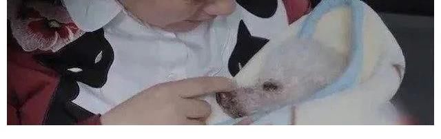 这一次,我不想骂欧阳娜娜