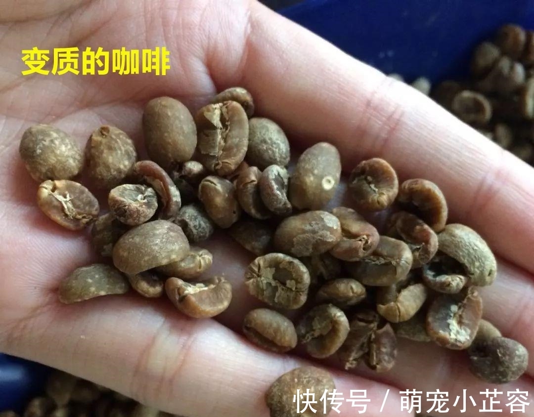 老于|冰箱真不是万能的,这5种食物越放坏得越快,看看你放了没?