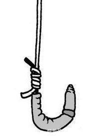 蚯蚓钓鱼效果好，但你挂对了吗，不同挂法效果不同