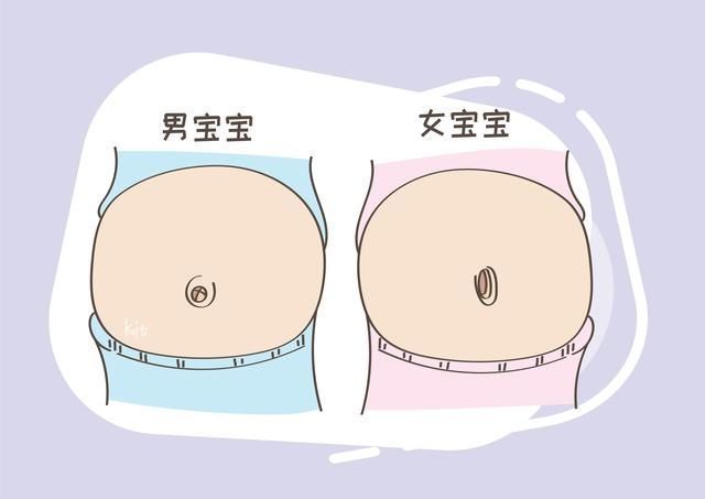 胎儿|孕妇生男还是生女,看肚脐凹凸就能知道?有没有科学根据呢?