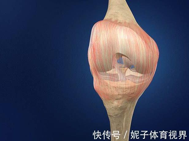 患者|膝盖疼,就是得滑膜炎了?医生辟谣,教您一步步判断自己的病因